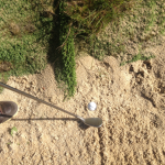 TIP-plugged-bunker-shots-1