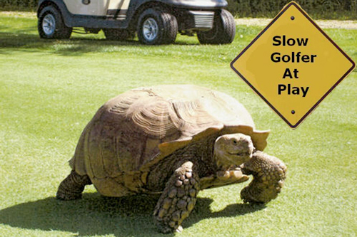 slow-golfer