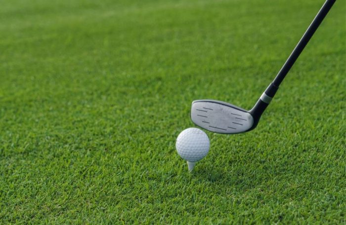 Beginner's golf clubs